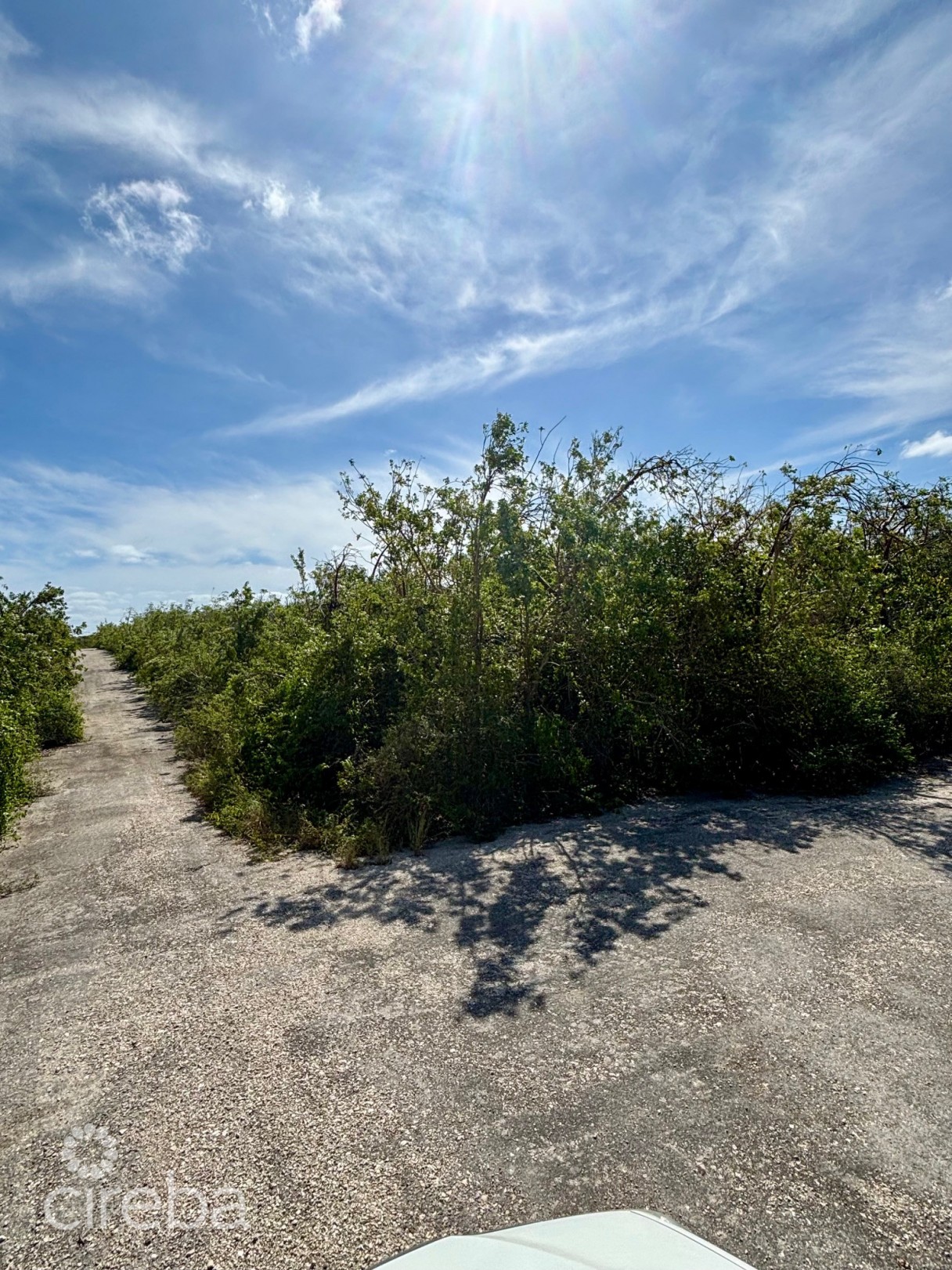 Little Cayman East 0.3017 Acres - Image 4