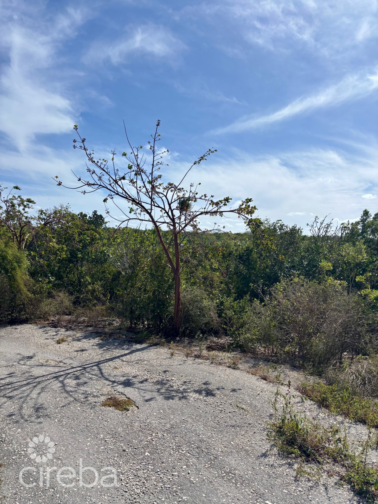 Little Cayman East Lot - .5 Acres - Image 2