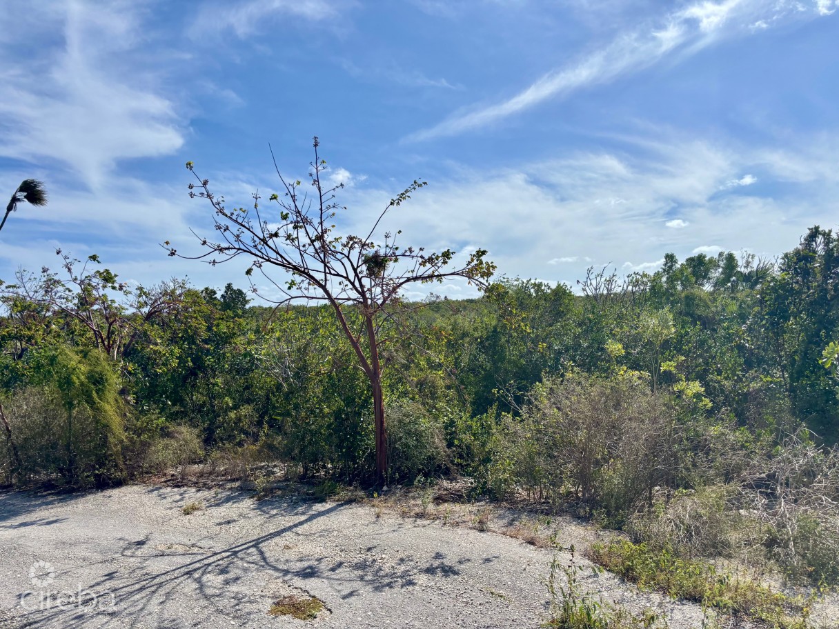 Little Cayman East Lot - .5 Acres - Image 3