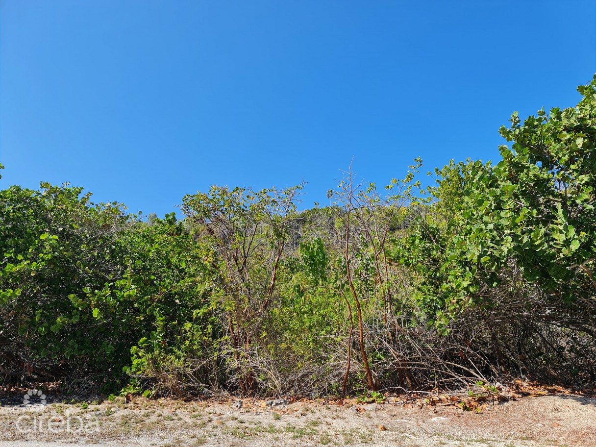 Oceanfront Vacant Land - Image 2