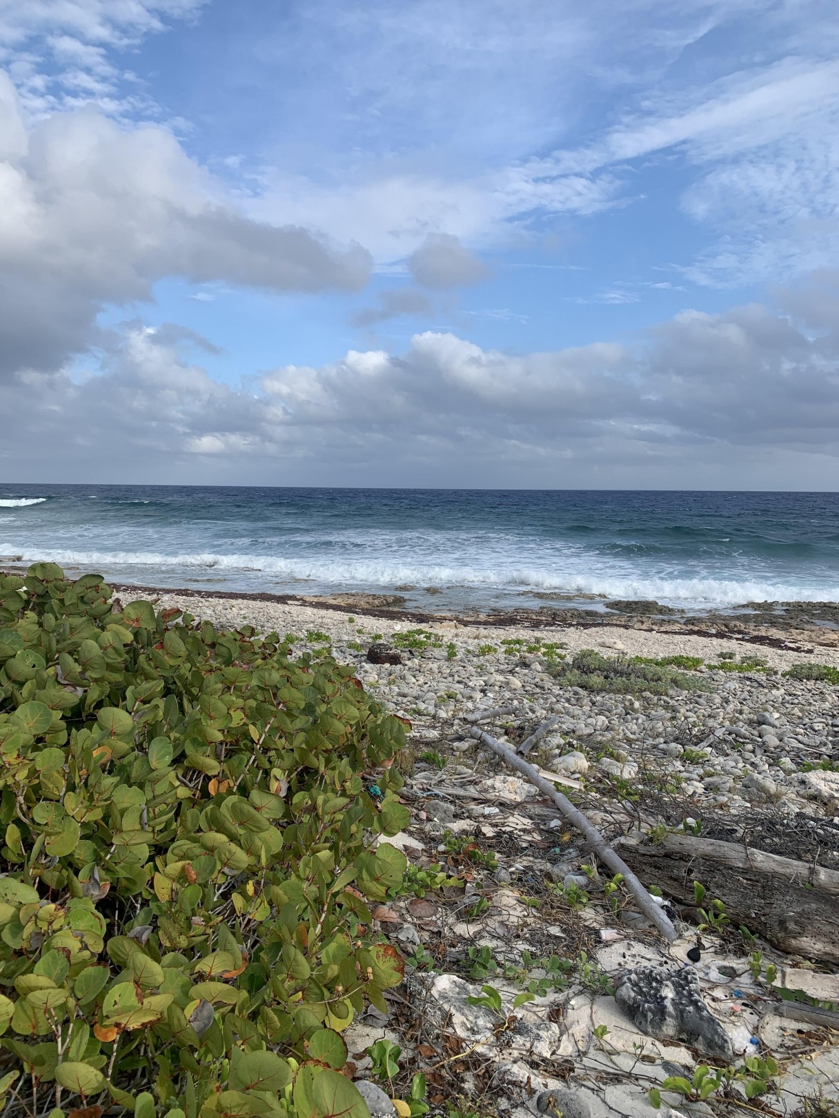 South Side Ocean Front Land - Image 3