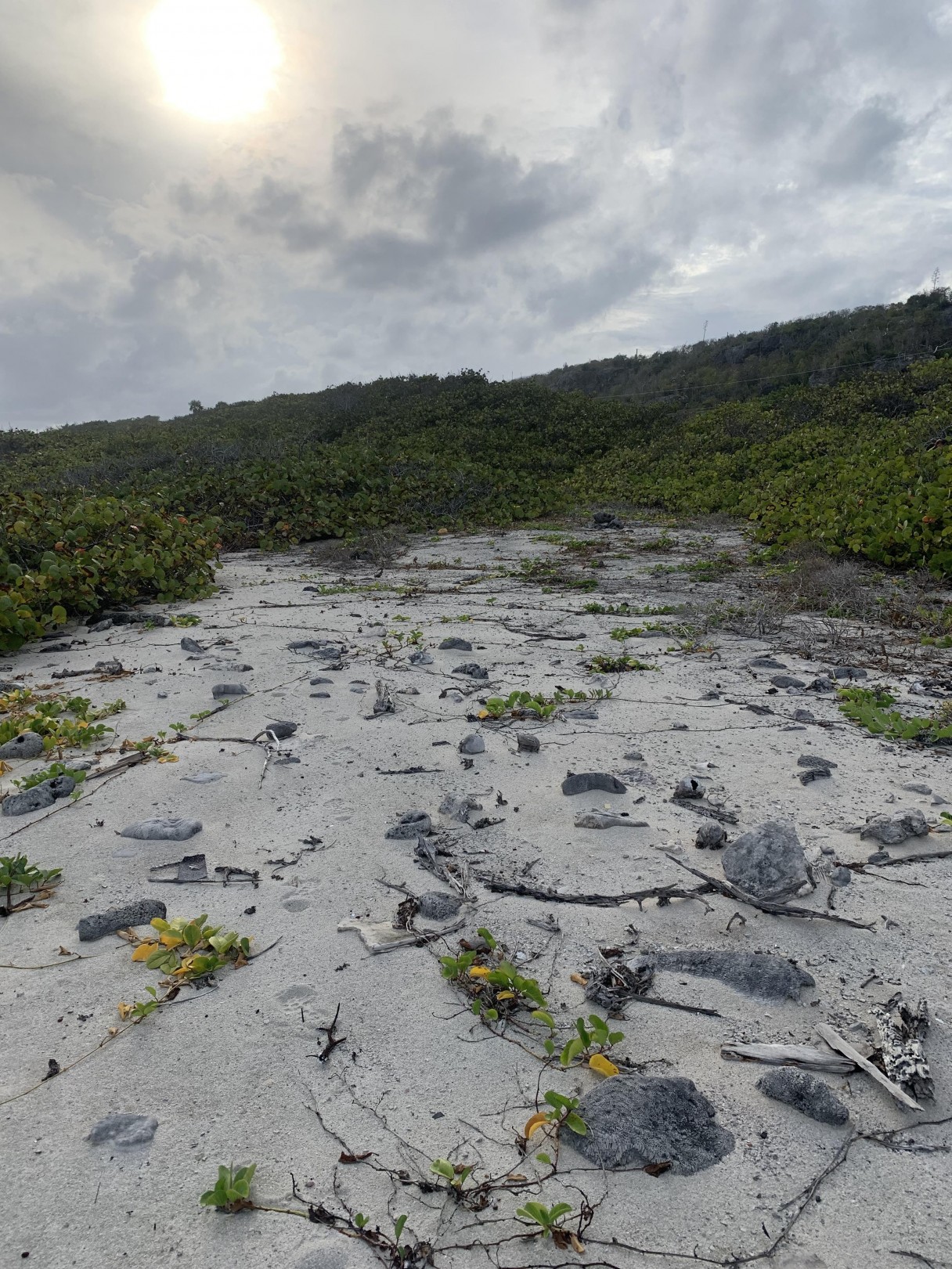 South Side Ocean Front Land - Image 4