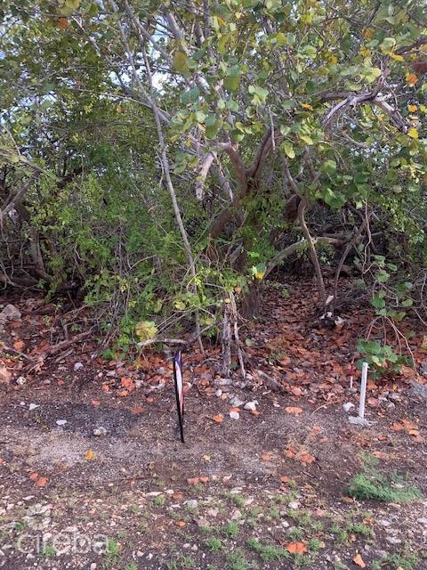 South Side Ocean Front Land - Image 5