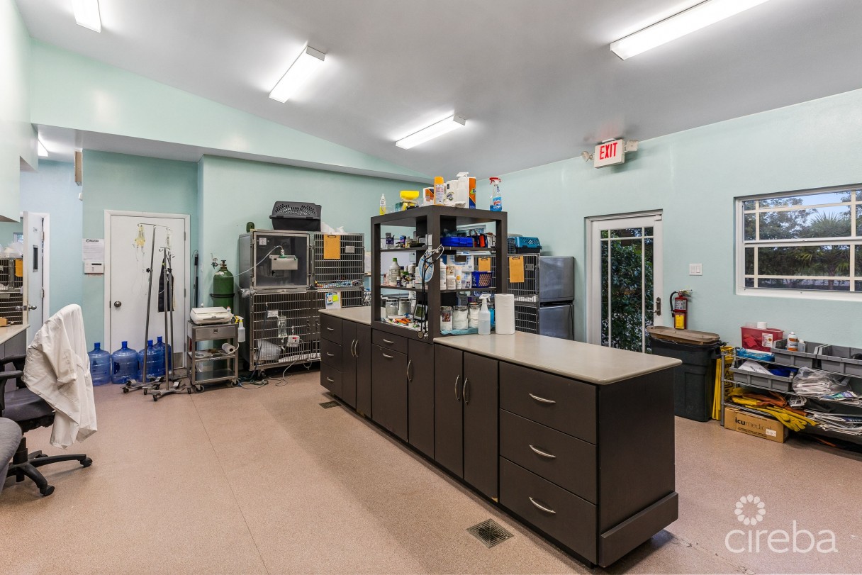Island Veterinary Services Vet Clinic And Property - Image 4