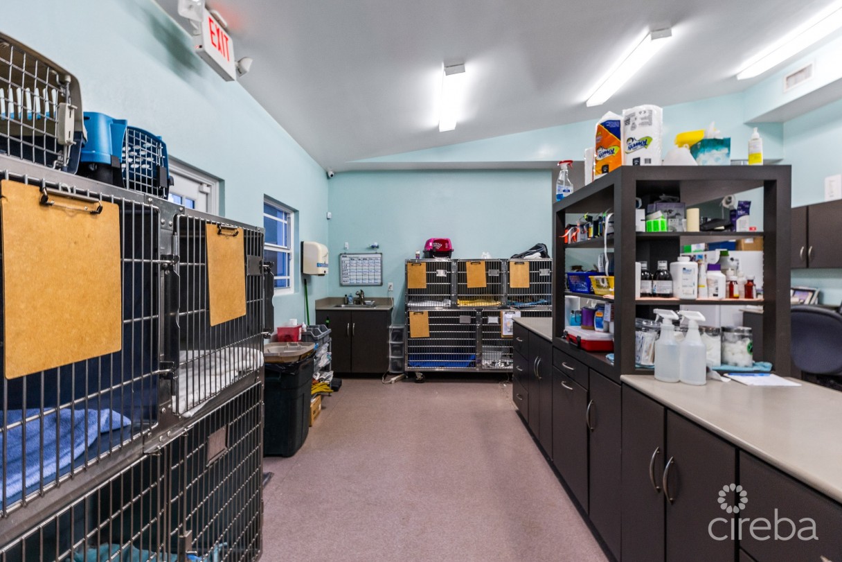 Island Veterinary Services Vet Clinic And Property - Image 5