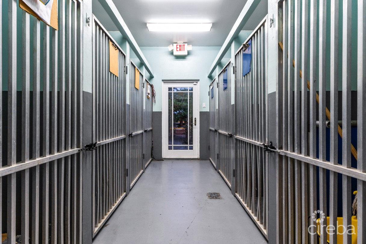 Island Veterinary Services Vet Clinic And Property - Image 10