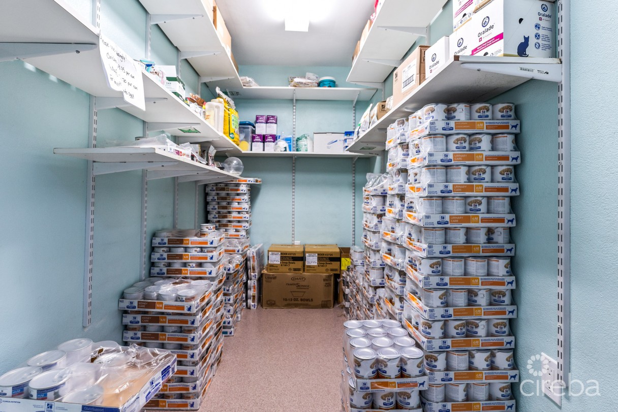 Island Veterinary Services Vet Clinic And Property - Image 12