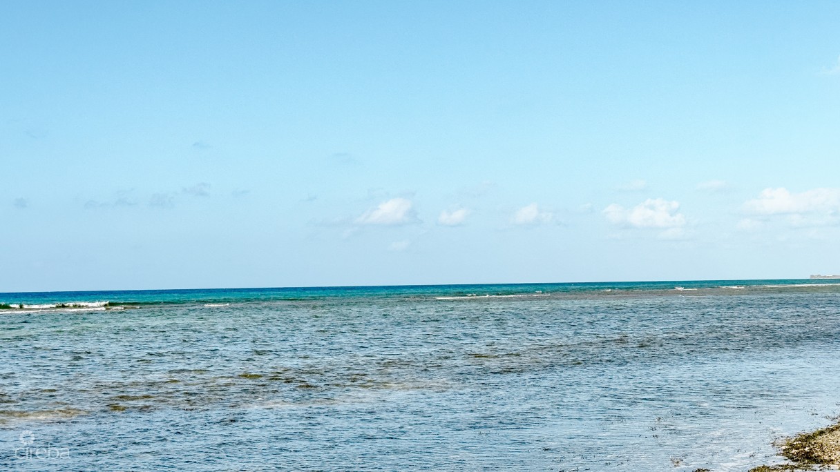 Oceanfront Land Little Cayman  - Image 4