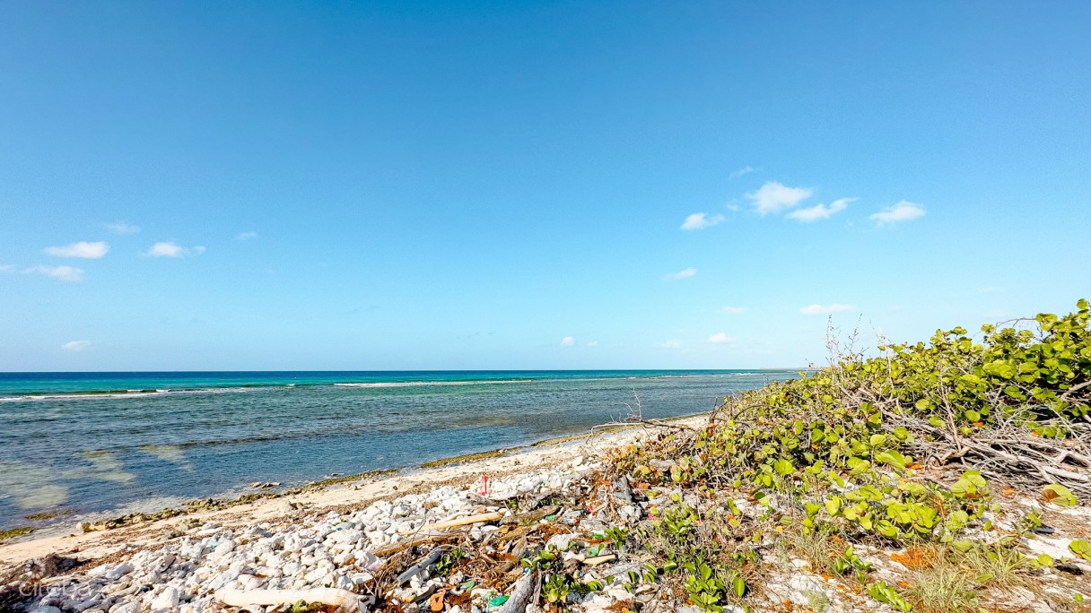 Oceanfront Land Little Cayman  - Image 5
