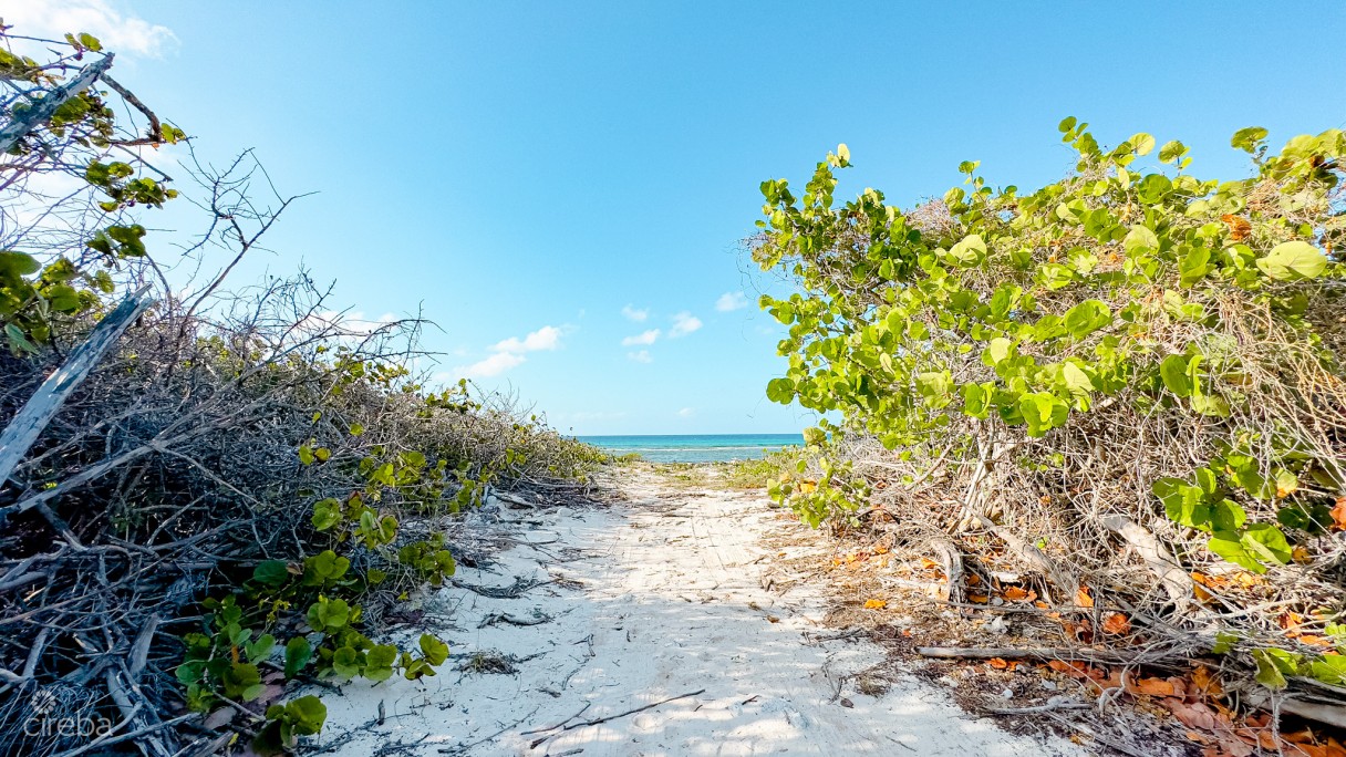 Oceanfront Land Little Cayman  - Image 6