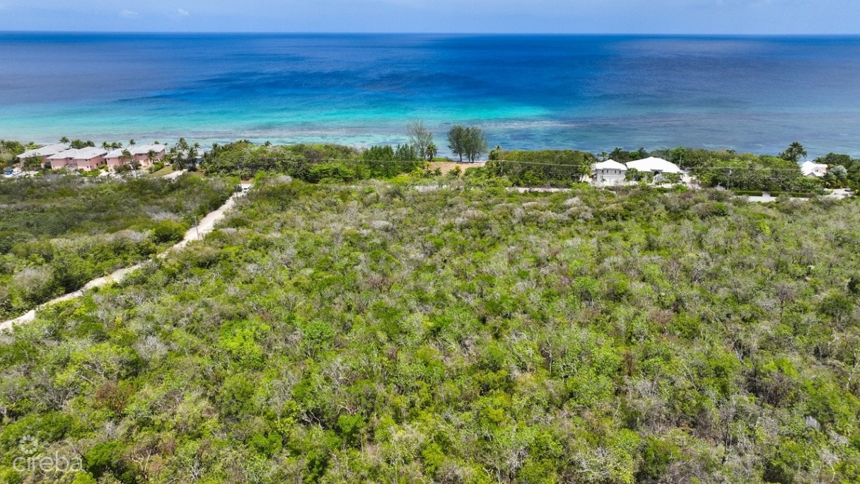 Nature Walk Lot 7 - Image 3