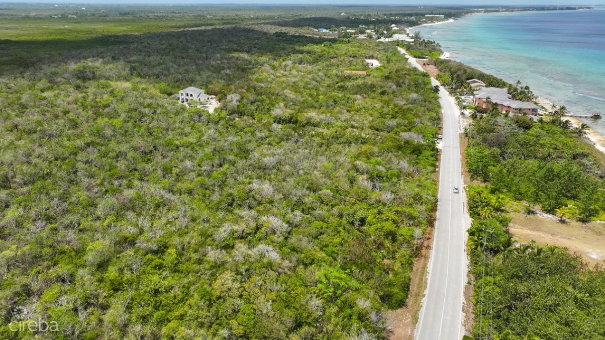 Nature Walk Lot 7 - Image 5