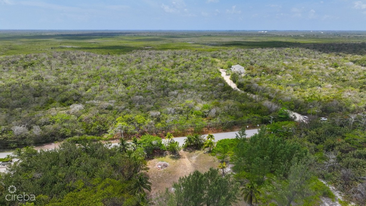 Nature Walk Lot 7 - Image 7