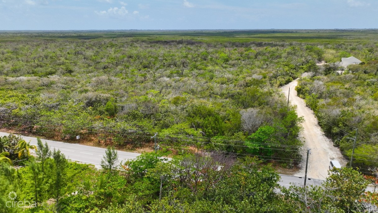 Nature Walk Lot 7 - Image 8