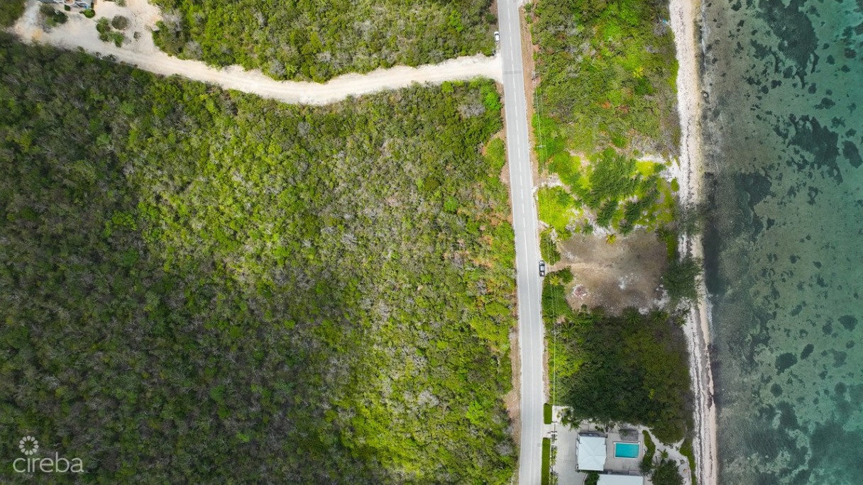 Nature Walk Lot 7 - Image 10