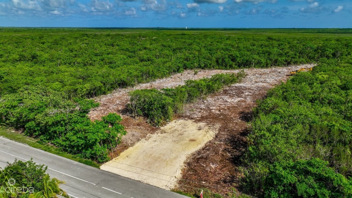 Nature Walk Lot 7 - Image 2