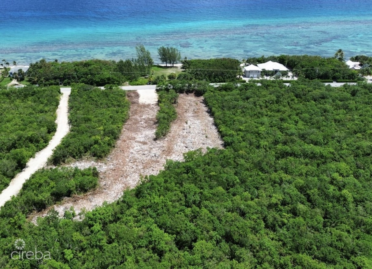 Nature Walk Lot 7 - Image 4