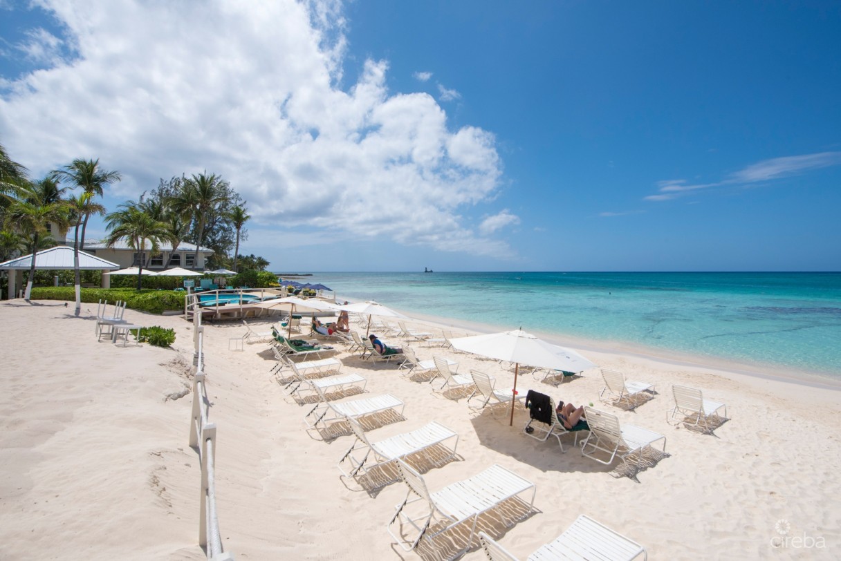 South Bay Beach Club - Image 5