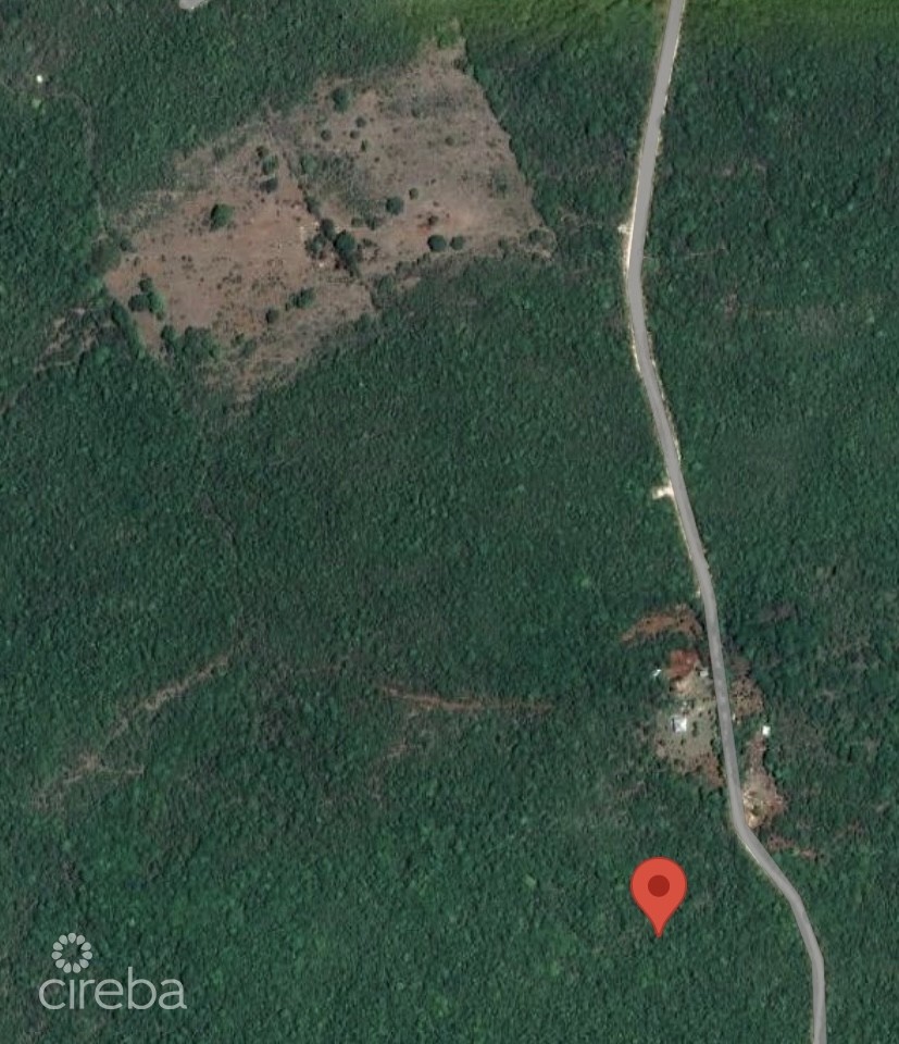20 Acres Brac Bluff Land - Image 3