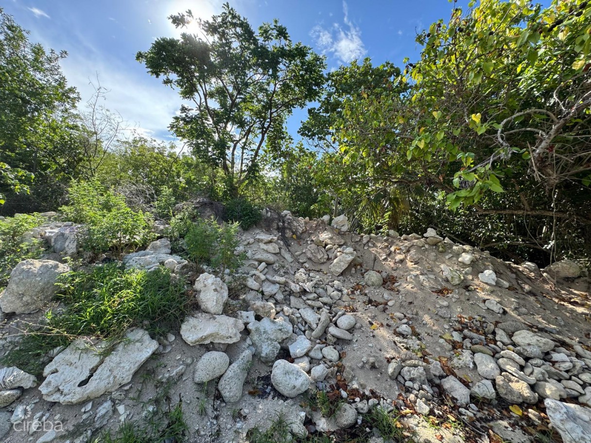 Prime West End Cayman Brac Land Parcel 100 - Image 8