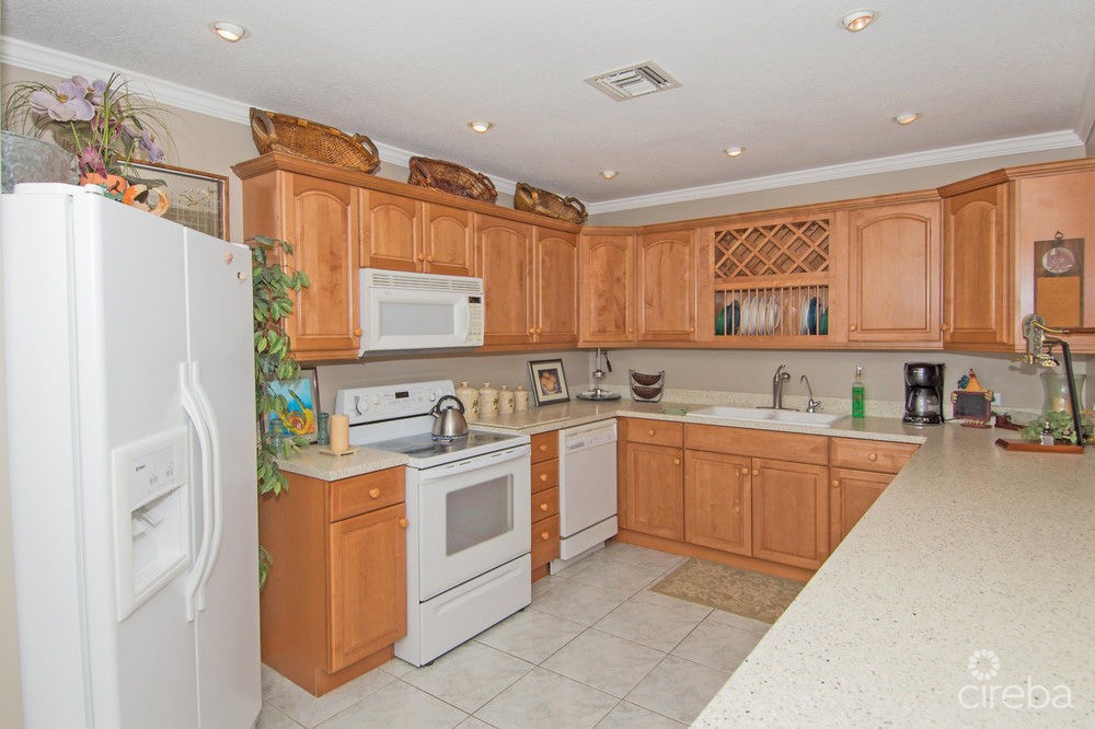 Poinsettia Ocean Front A3 - Image 6