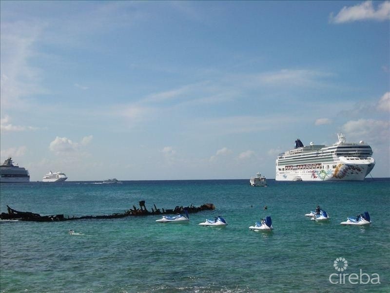 Poinsettia Ocean Front A3 - Image 18