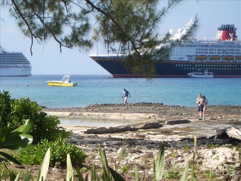 Poinsettia Ocean Front A3 - Image 19