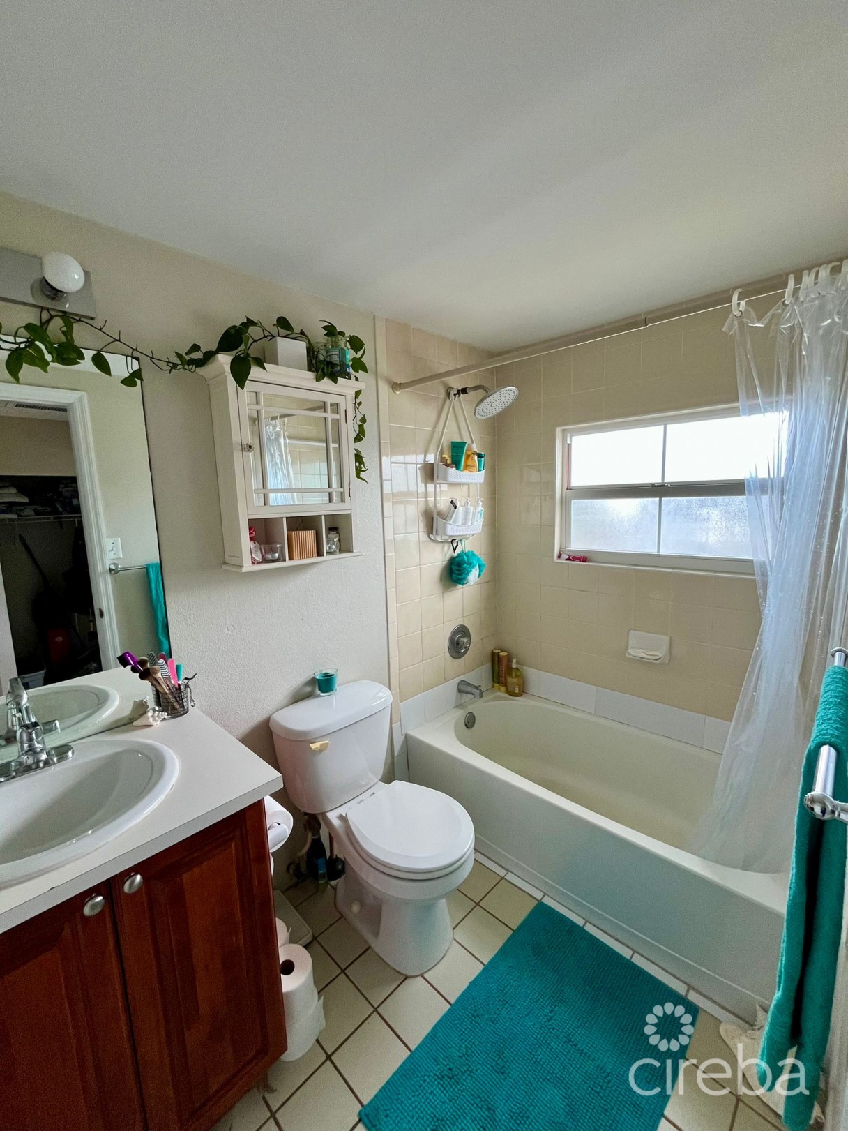 Ocean Club - 1 Bed Loft - Image 9