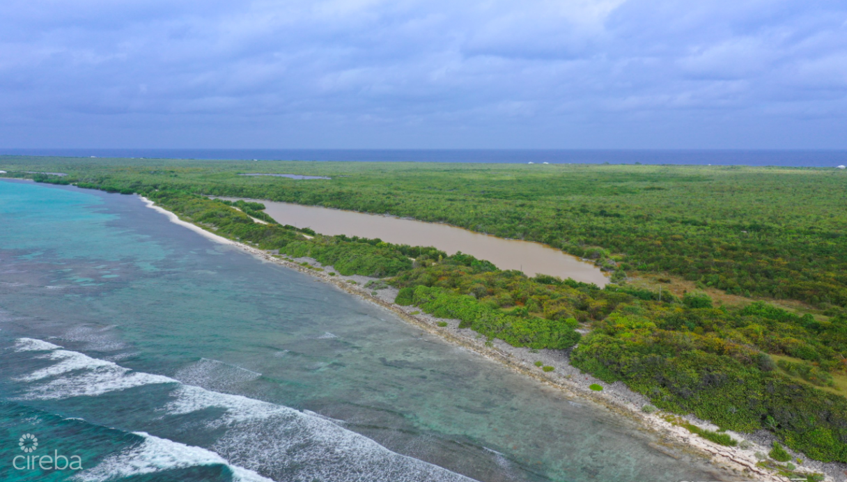 Beachfront Lot Little Cayman - Image 3
