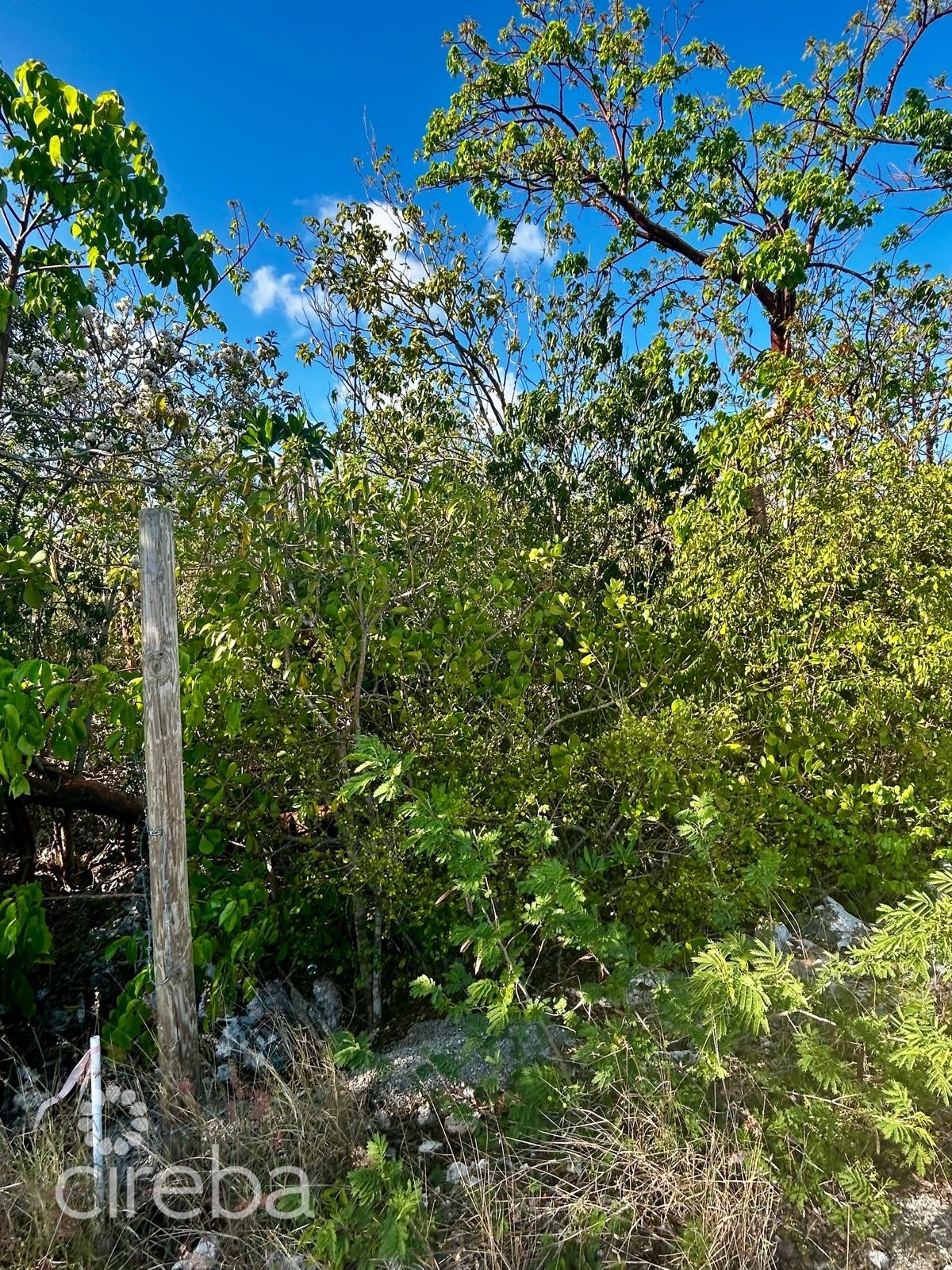 Cayman Brac Bluff Lot With Fantastic Views - Image 6