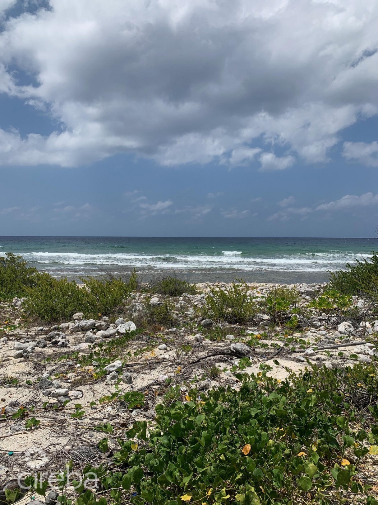Northside Ocean Front And Inland Property - Image 3