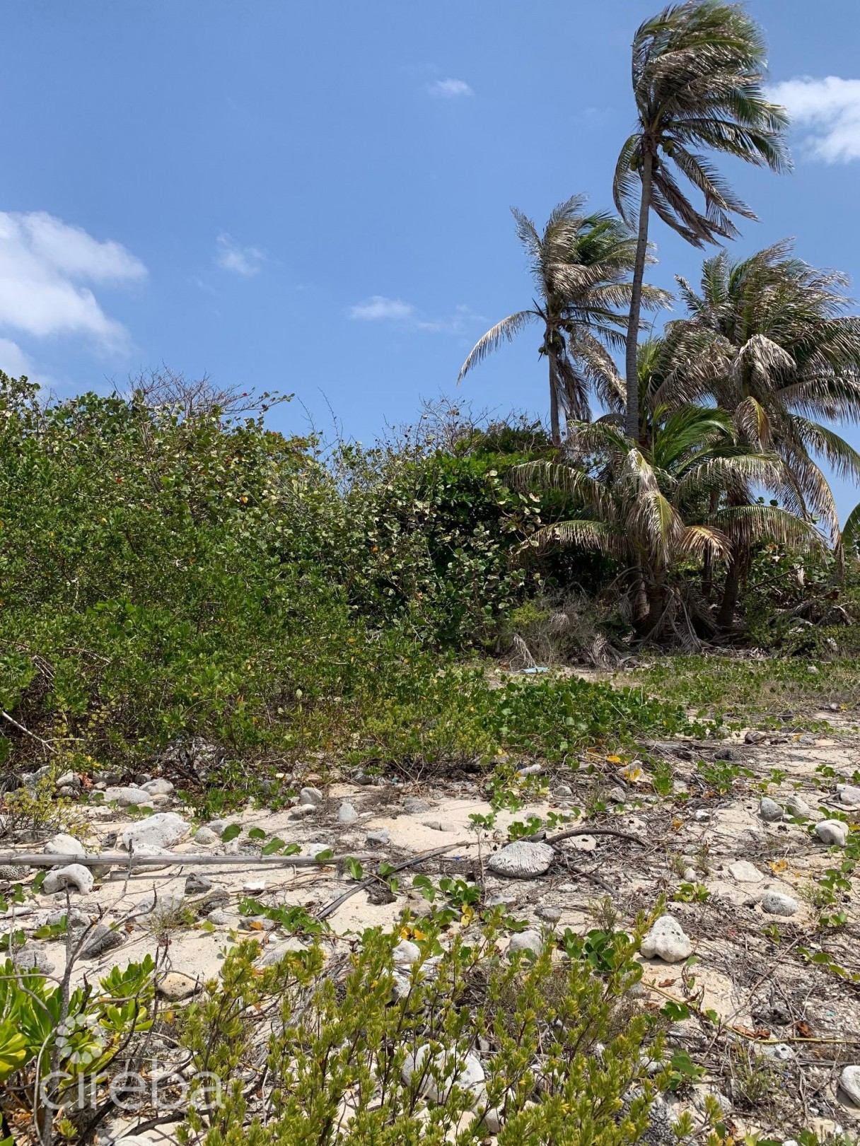 Northside Ocean Front And Inland Property - Image 4
