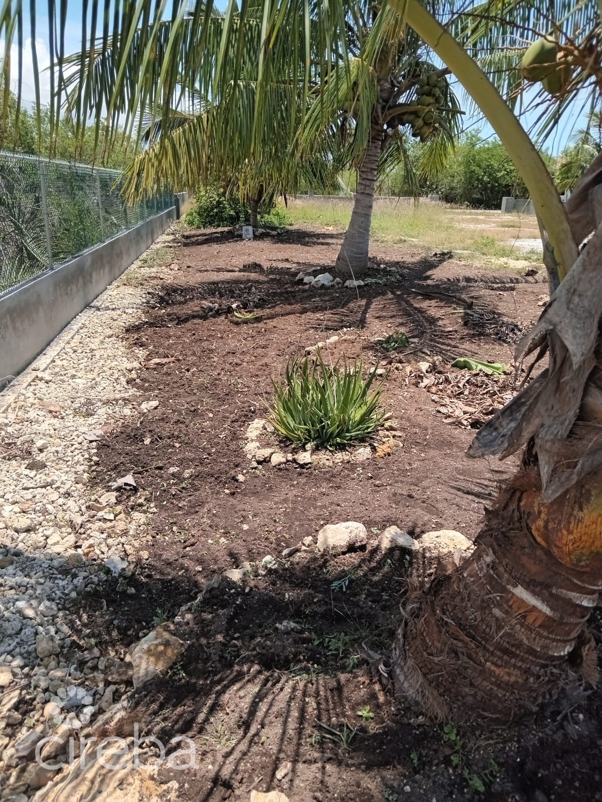 Gooseberry Drive - Image 2