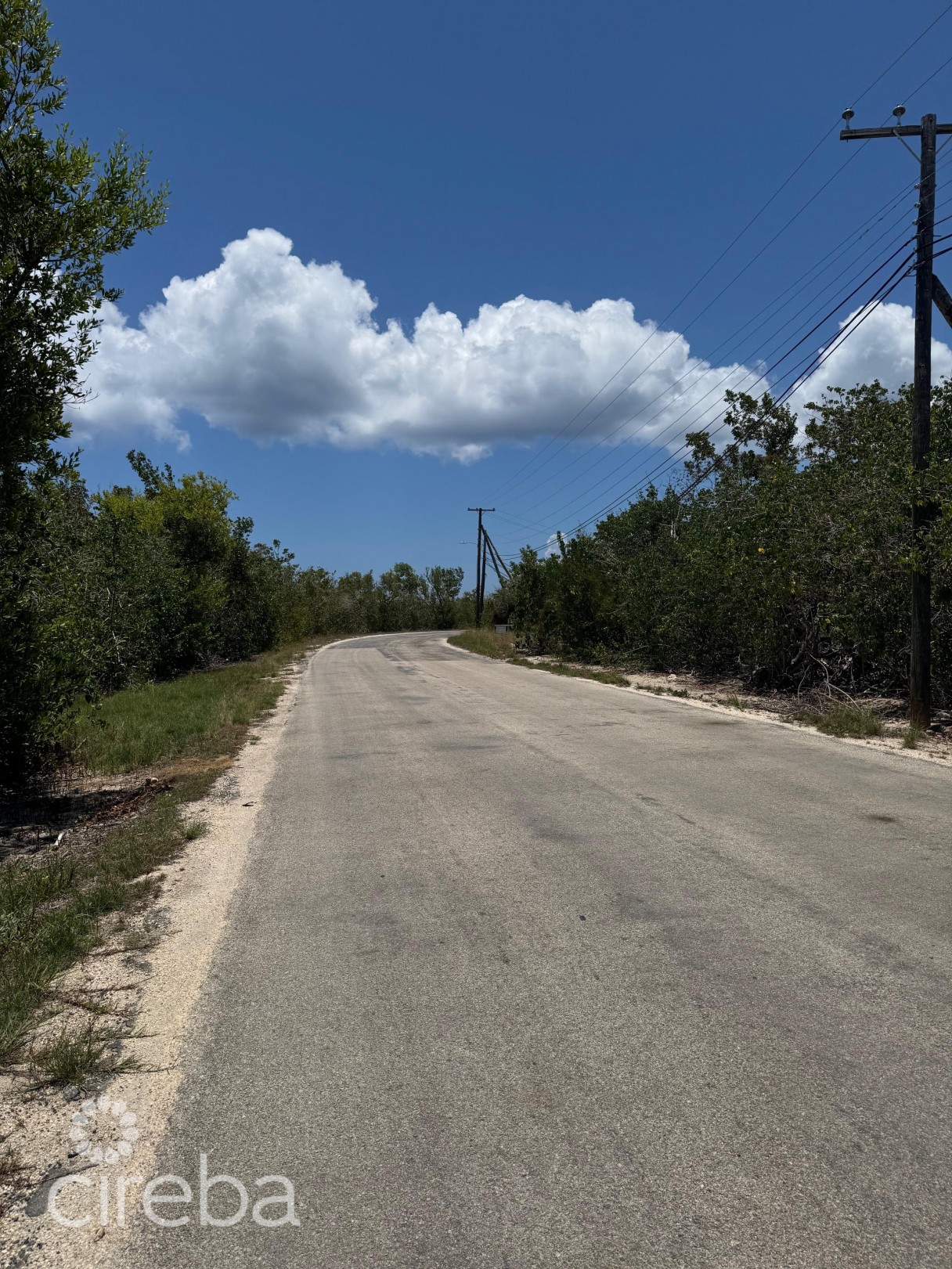 Owen Island View - Image 6
