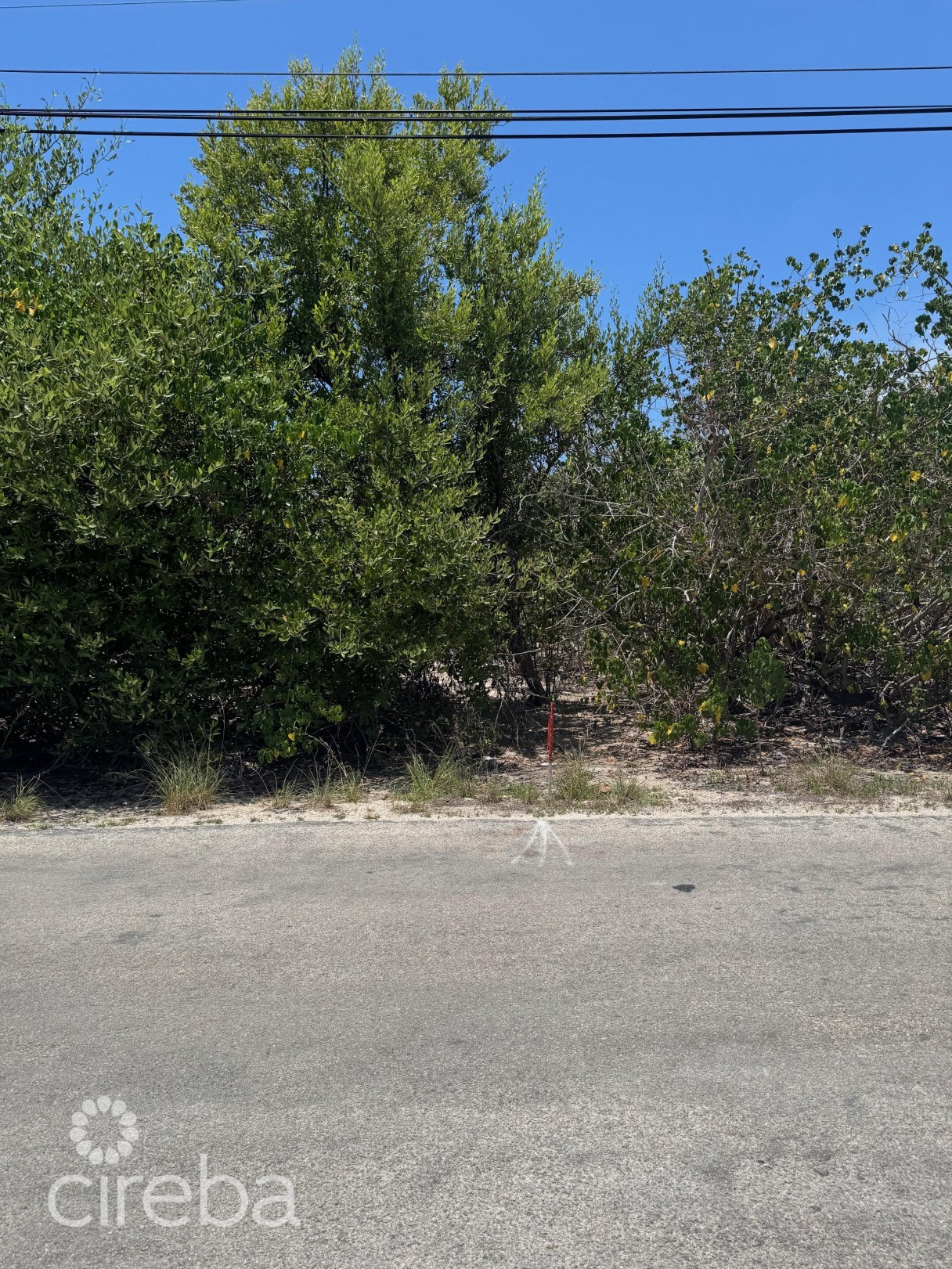 Owen Island View - Image 7