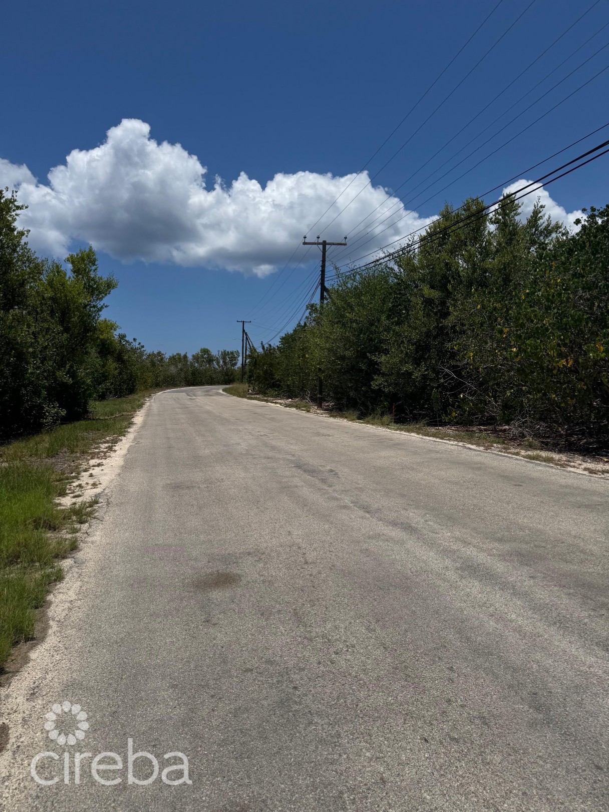 Owen Island View - Image 8