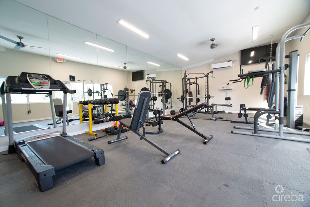 Downtown Reach - Image 2