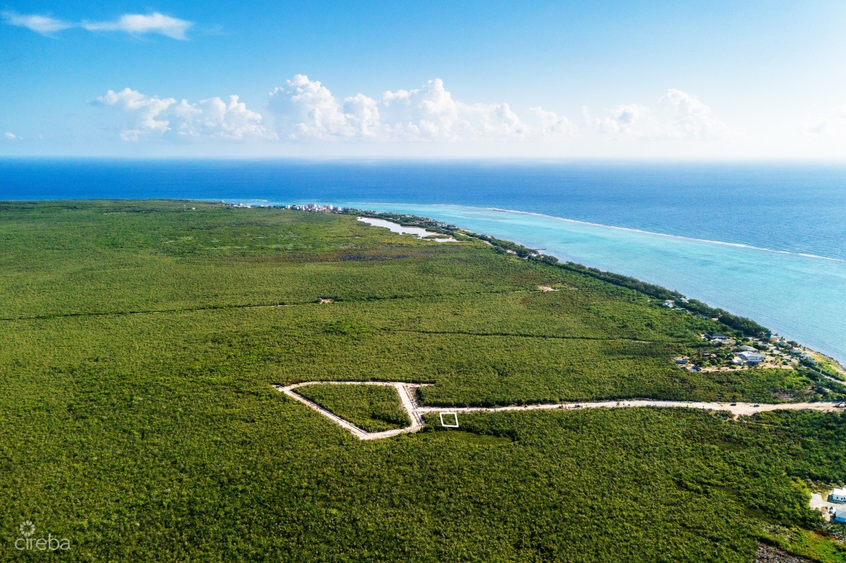 Breezy Palms Lot 10 - Image 3
