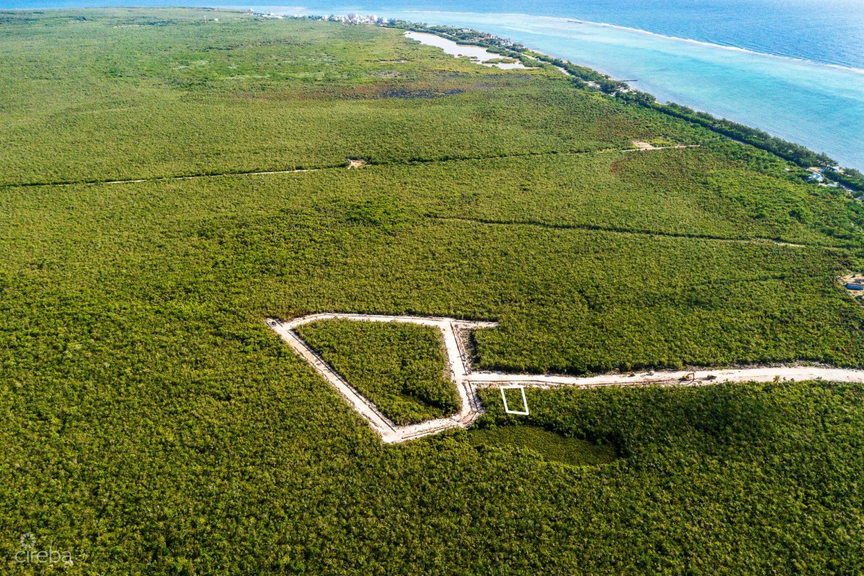 Breezy Palms Lot 10 - Image 4