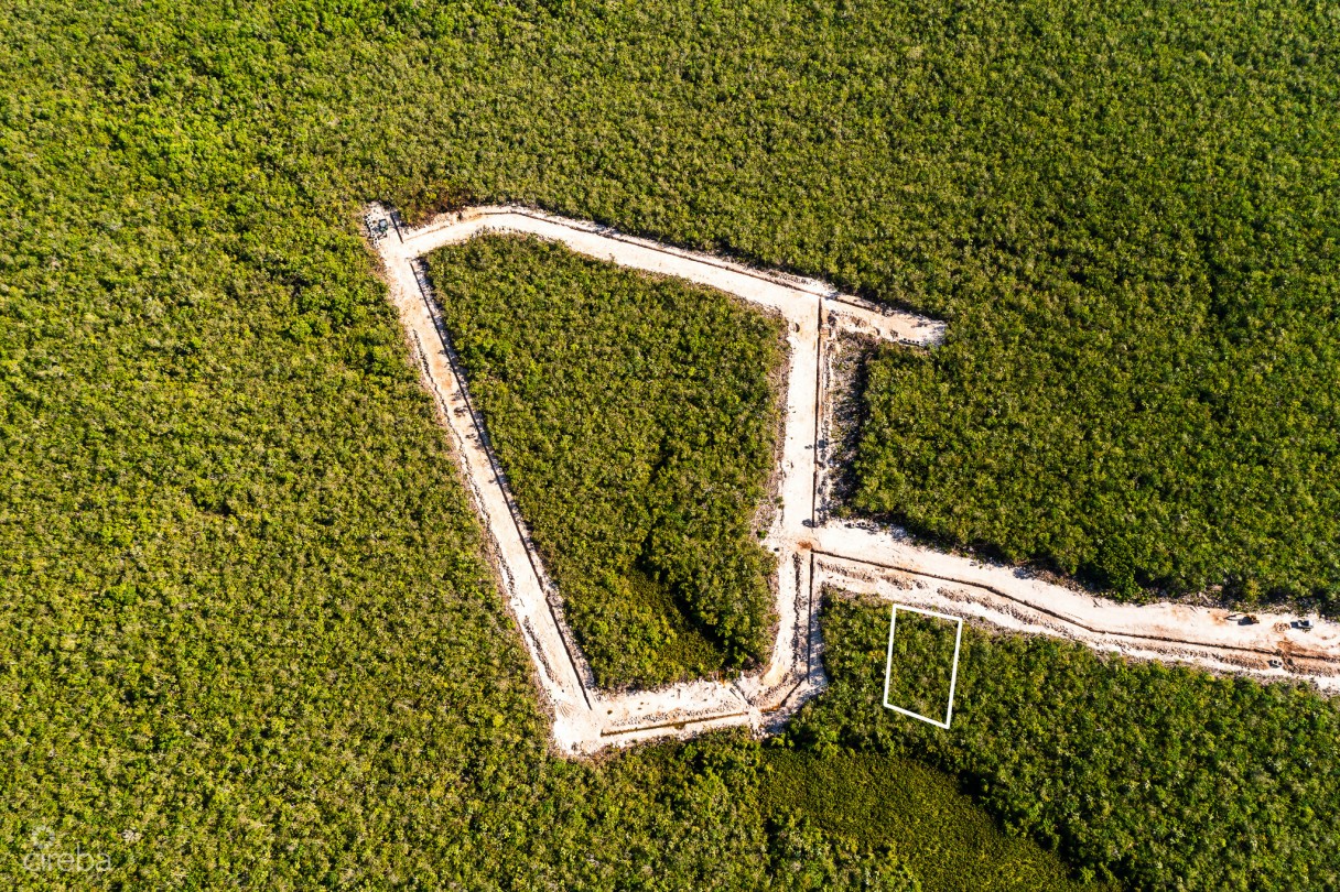 Breezy Palms Lot 10 - Image 5