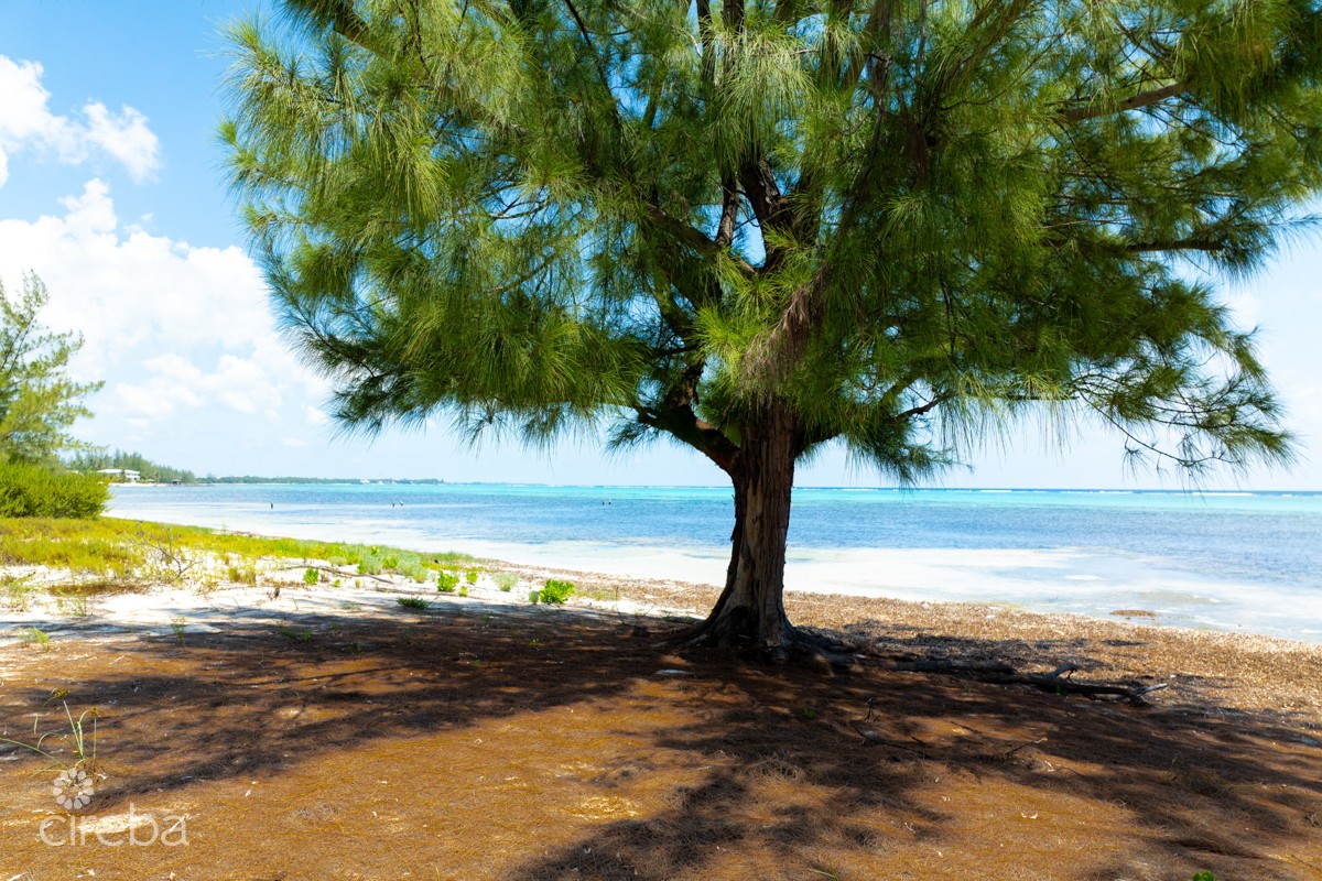 Prime Beachfront Development Opportunity - Image 25