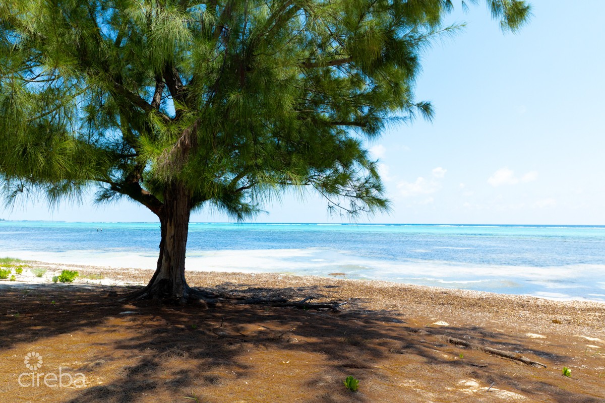 Prime Beachfront Development Opportunity - Image 26