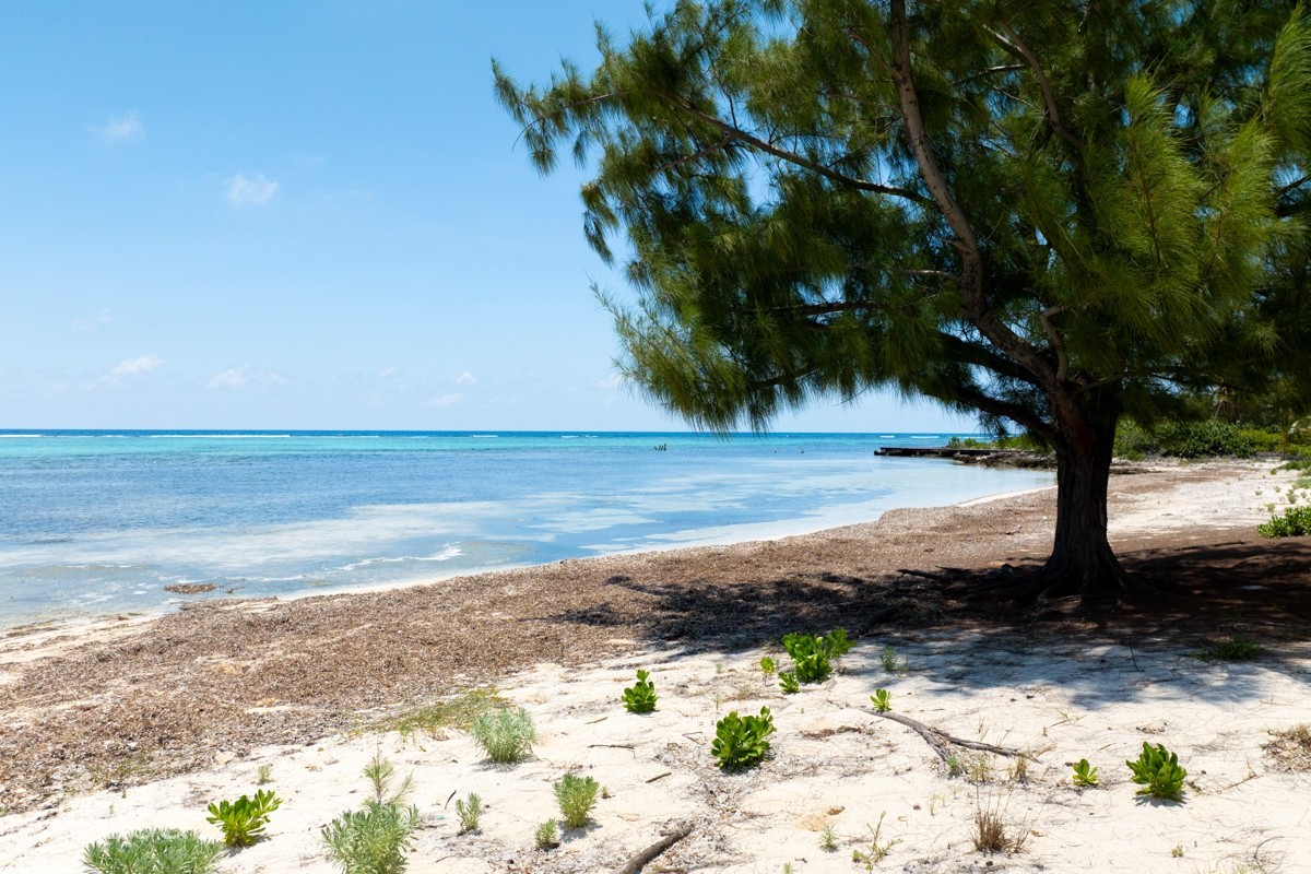 Prime Beachfront Development Opportunity - Image 38