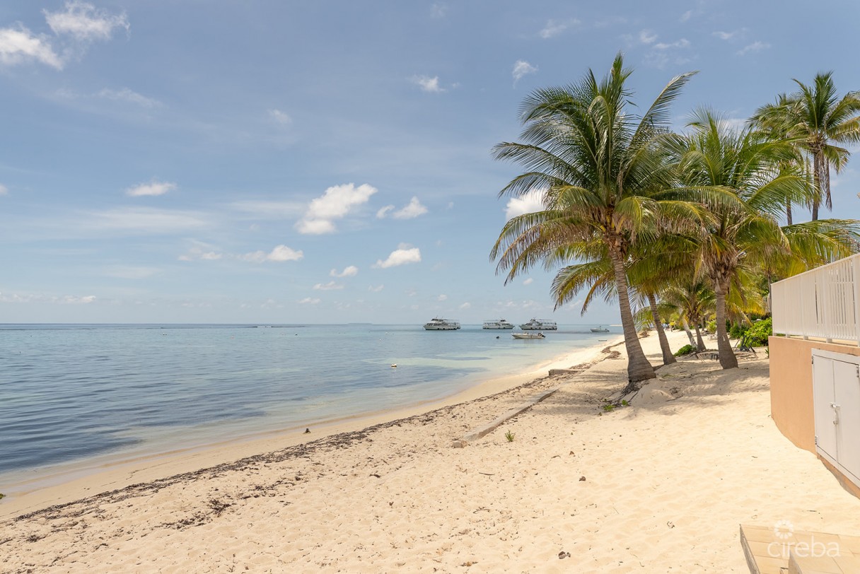 Winterhaven Beachfront 3 Bed - Image 12