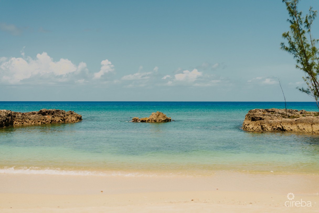 Casa Luna 9 - Image 24