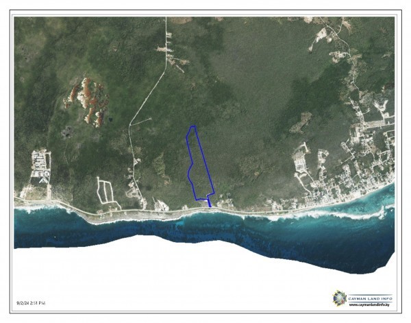 The Blow Holes Lot #12 - Image 1