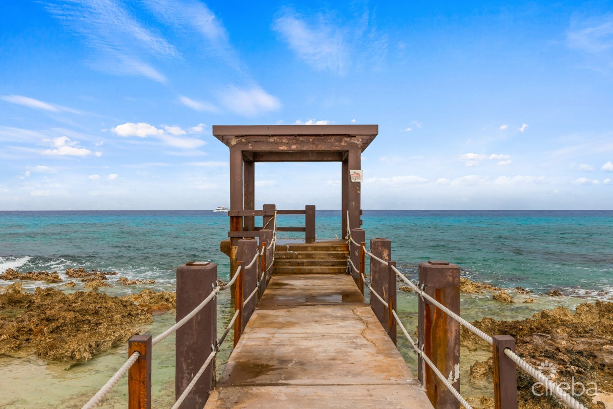 Windsor Village 18,  South Sound Townhome - Image 13