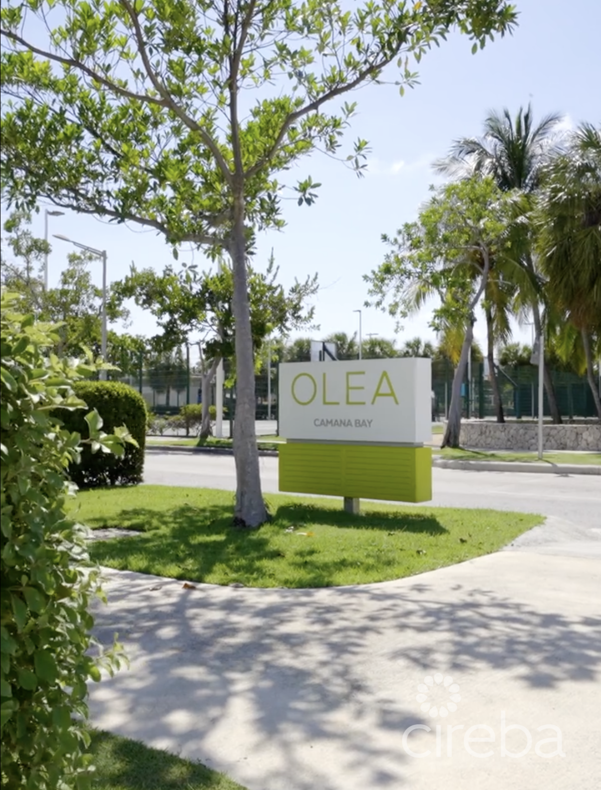 Olea 335 Penthouse (3-bedroom)