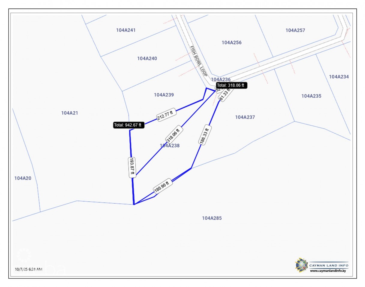 Musical Orchids - Image 4