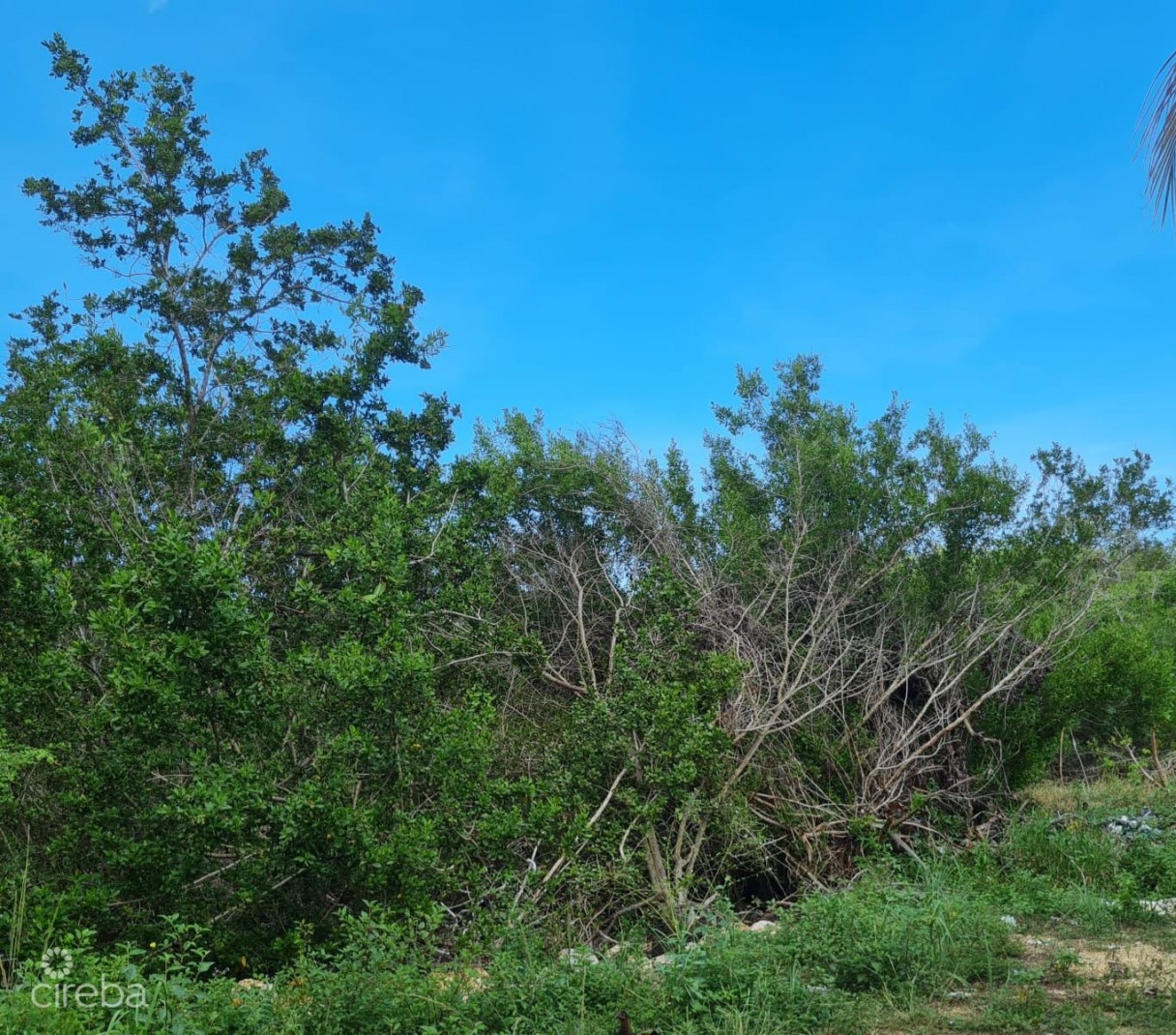 .3 Acre Lot North Side